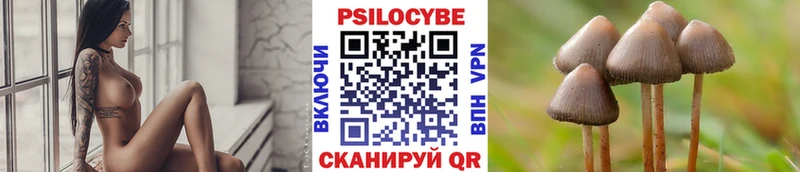 Псилоцибиновые грибы MAGIC MUSHROOMS  Купить где  Сочи 